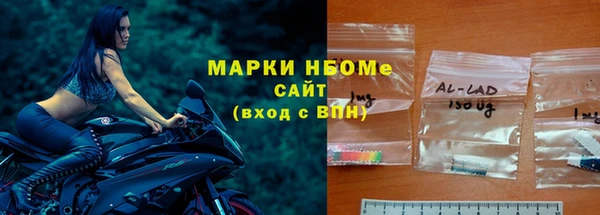 сатива Пересвет