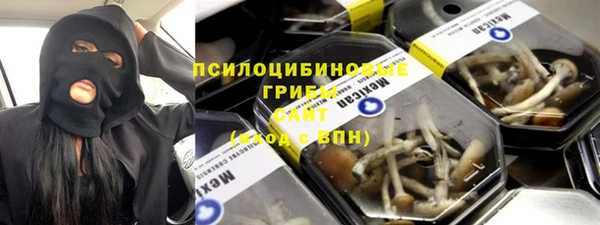 PSILOCYBIN Переславль-Залесский