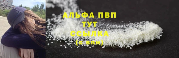 PSILOCYBIN Переславль-Залесский