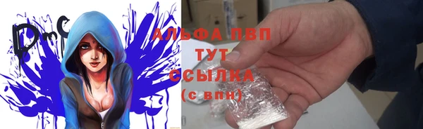дживик Пестово
