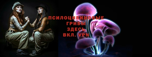 дживик Пестово