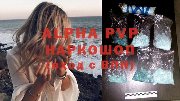 сатива Пересвет