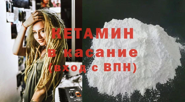 сатива Пересвет