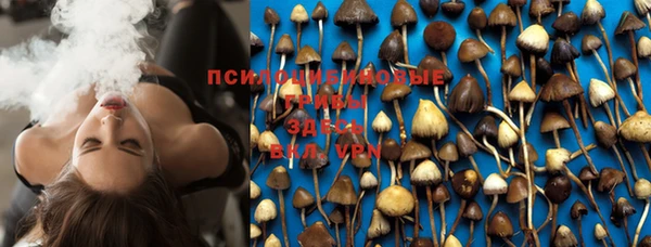 PSILOCYBIN Переславль-Залесский