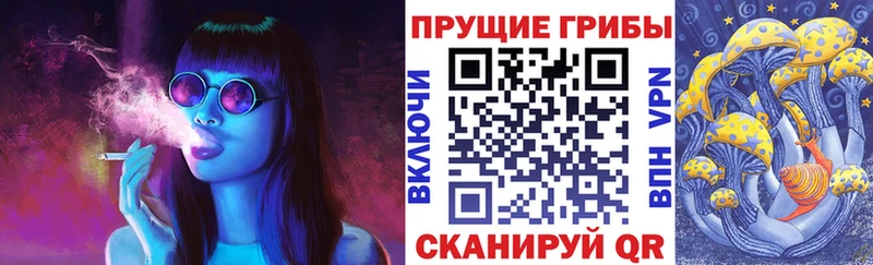 Псилоцибиновые грибы GOLDEN TEACHER  Купить закладки  Обоянь 
